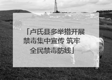 卢氏县多举措开展禁毒集中宣传 筑牢全民禁毒防线