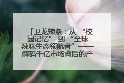 卫龙辣条：从 “校园记忆” 到 “全球辣味生态领航者”——解码千亿市场背后的产品创新与全链路破圈