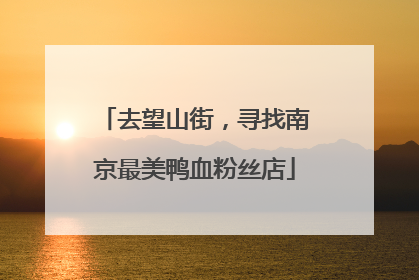 去望山街，寻找南京最美鸭血粉丝店