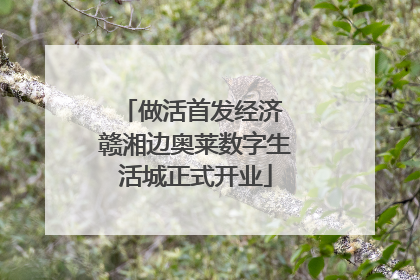 做活首发经济 赣湘边奥莱数字生活城正式开业