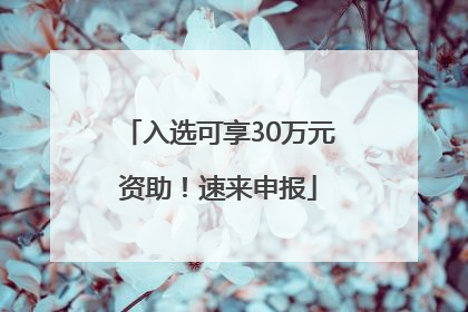入选可享30万元资助！速来申报