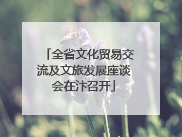 全省文化贸易交流及文旅发展座谈会在汴召开