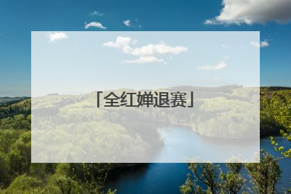 全红婵退赛