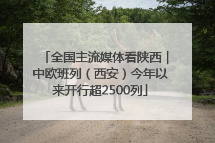 全国主流媒体看陕西｜中欧班列（西安）今年以来开行超2500列