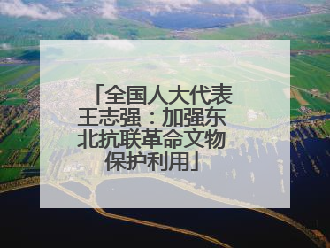 全国人大代表王志强：加强东北抗联革命文物保护利用