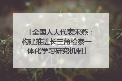 全国人大代表宋燕：构建推进长三角检察一体化学习研究机制