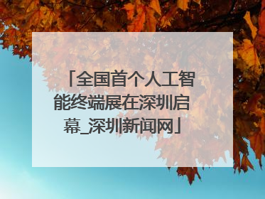 全国首个人工智能终端展在深圳启幕_深圳新闻网