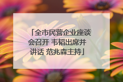 全市民营企业座谈会召开 韦韬出席并讲话 范兆森主持