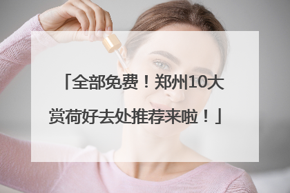 全部免费！郑州10大赏荷好去处推荐来啦！