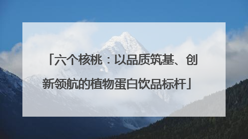六个核桃：以品质筑基、创新领航的植物蛋白饮品标杆