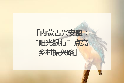 内蒙古兴安盟：“阳光银行”点亮乡村振兴路