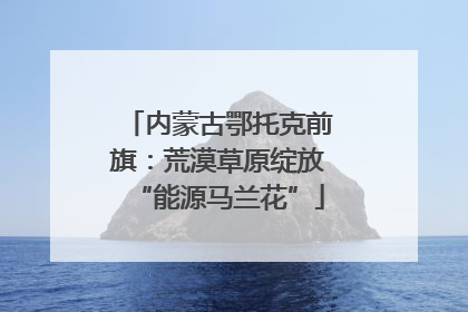 内蒙古鄂托克前旗：荒漠草原绽放“能源马兰花”
