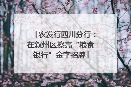 农发行四川分行：在叙州区擦亮“粮食银行”金字招牌