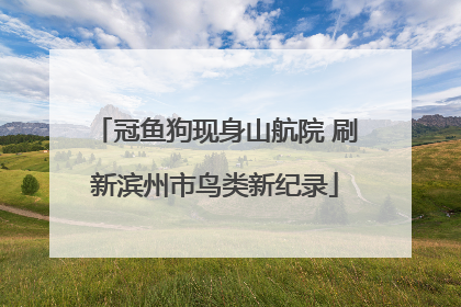 冠鱼狗现身山航院 刷新滨州市鸟类新纪录