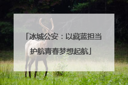 冰城公安：以藏蓝担当 护航青春梦想起航