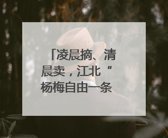 凌晨摘、清晨卖，江北“杨梅自由一条街”藏着最甜的烟火气
