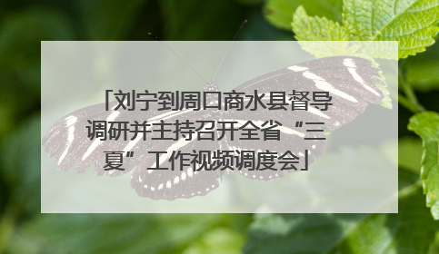 刘宁到周口商水县督导调研并主持召开全省“三夏”工作视频调度会