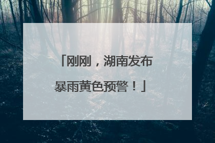 刚刚，湖南发布暴雨黄色预警！