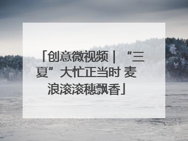 创意微视频｜“三夏”大忙正当时 麦浪滚滚穗飘香