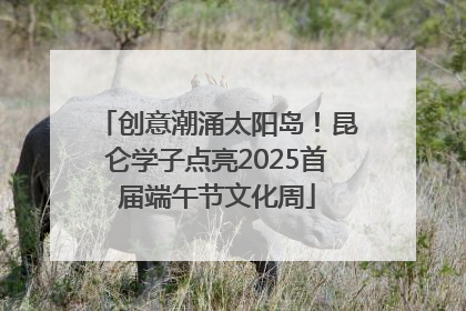 创意潮涌太阳岛！昆仑学子点亮2025首届端午节文化周