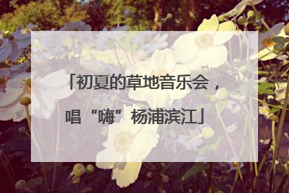 初夏的草地音乐会，唱“嗨”杨浦滨江