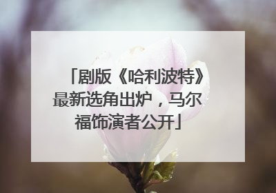 剧版《哈利波特》最新选角出炉，马尔福饰演者公开
