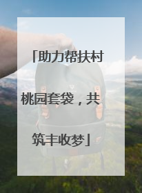 助力帮扶村桃园套袋，共筑丰收梦