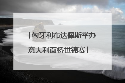 匈牙利布达佩斯举办意大利面桥世锦赛