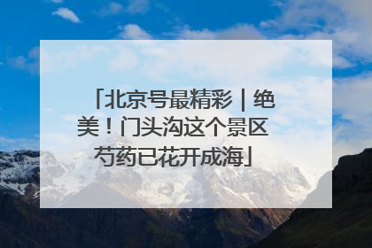 北京号最精彩｜绝美！门头沟这个景区芍药已花开成海