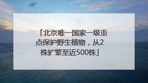 北京唯一国家一级重点保护野生植物，从2株扩繁至近500株