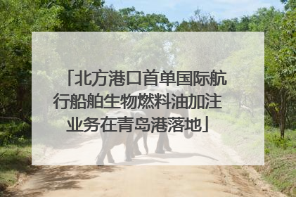 北方港口首单国际航行船舶生物燃料油加注业务在青岛港落地