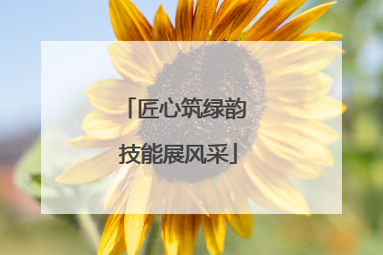 匠心筑绿韵 技能展风采