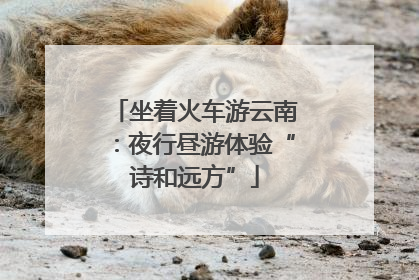 坐着火车游云南：夜行昼游体验“诗和远方”