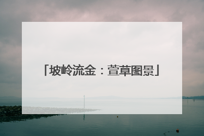 坡岭流金：萱草图景