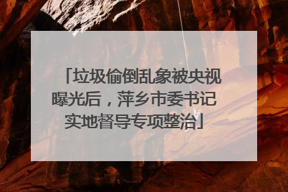 垃圾偷倒乱象被央视曝光后，萍乡市委书记实地督导专项整治