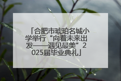 合肥市琥珀名城小学举行“向着未来出发——遇见最美”2025届毕业典礼