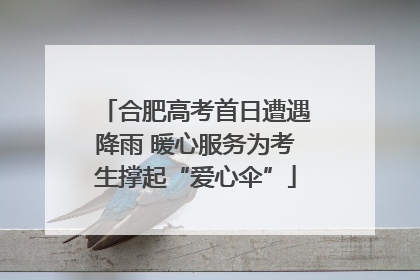 合肥高考首日遭遇降雨 暖心服务为考生撑起“爱心伞”
