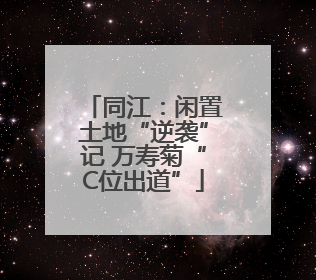 同江：闲置土地“逆袭”记 万寿菊“C位出道”
