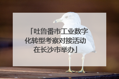 吐鲁番市工业数字化转型考察对接活动在长沙市举办