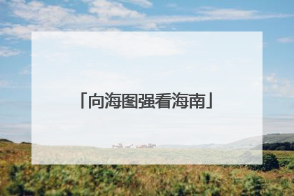 向海图强看海南