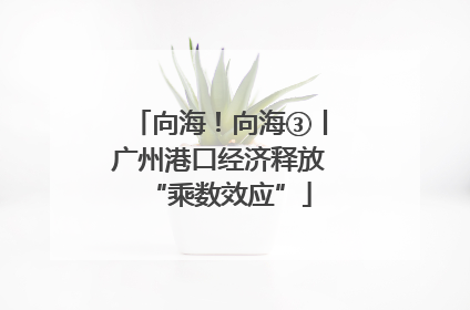 向海！向海③丨广州港口经济释放“乘数效应”