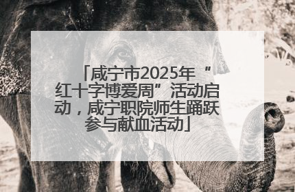 咸宁市2025年“红十字博爱周”活动启动，咸宁职院师生踊跃参与献血活动