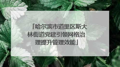 哈尔滨市道里区斯大林街道党建引领网格治理提升管理效能