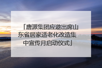 唐派集团应邀出席山东省居家适老化改造集中宣传月启动仪式