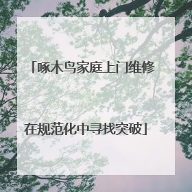 啄木鸟家庭上门维修在规范化中寻找突破