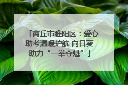 商丘市睢阳区：爱心助考温暖护航 向日葵助力“一举夺魁”