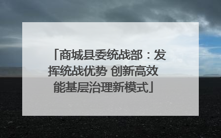 商城县委统战部：发挥统战优势 创新高效能基层治理新模式