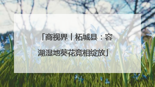 商视界丨柘城县：容湖湿地葵花竞相绽放