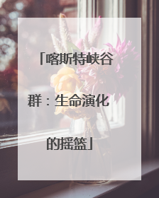 喀斯特峡谷群：生命演化的摇篮