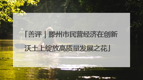 善评｜滕州市民营经济在创新沃土上绽放高质量发展之花